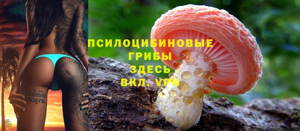 прущая мука Дмитров