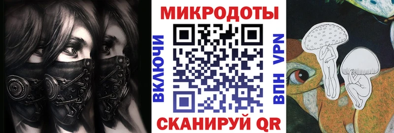 Купить закладки  Карачев  Псилоцибиновые грибы GOLDEN TEACHER 
